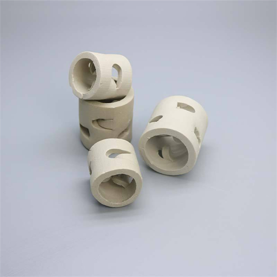 ceramic pall ring