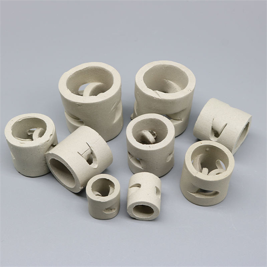 ceramic pall ring