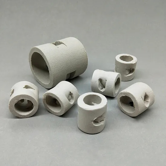ceramic pall ring