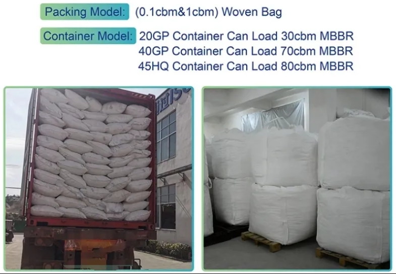 mutag biochip package