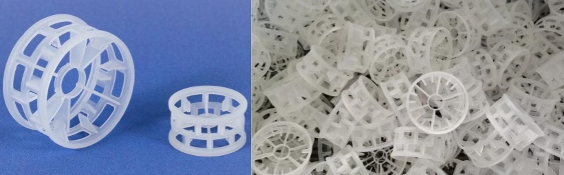 beta-ring_banner