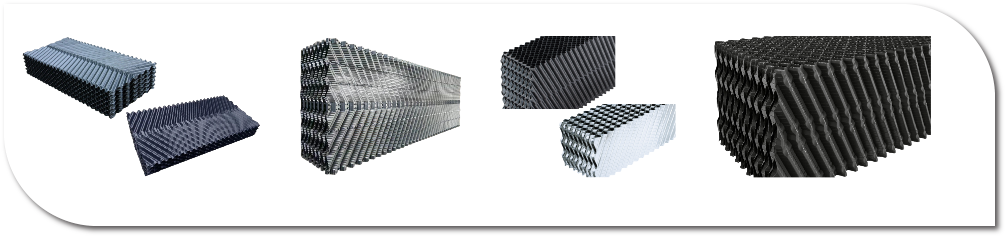 cross-fluted-fills-group-pictures